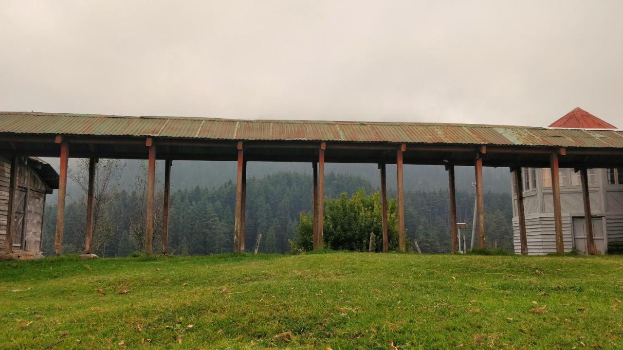 Black Bear Cottage Khajjiar Exterior photo