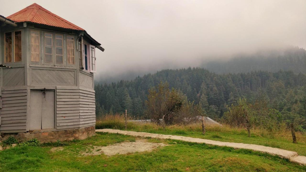 Black Bear Cottage Khajjiar Exterior photo