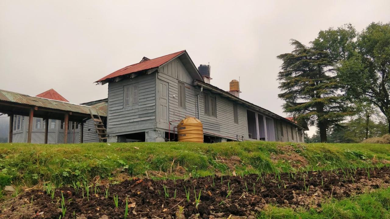 Black Bear Cottage Khajjiar Exterior photo